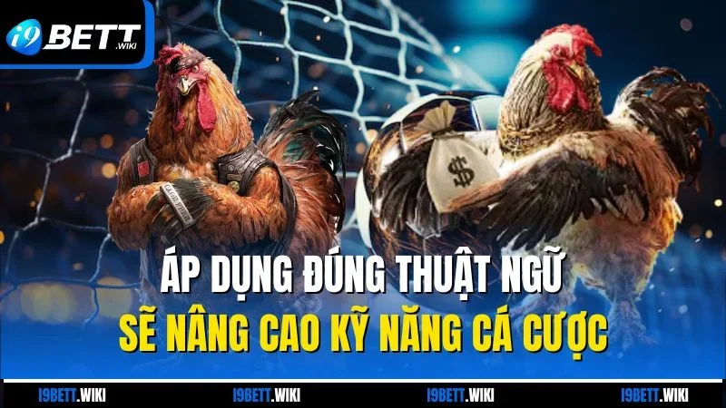 Áp dụng đúng thuật ngữ sẽ nâng cao kỹ năng cá cược