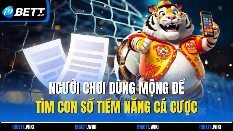 Người chơi dùng mộng để tìm con số tiềm năng cá cược